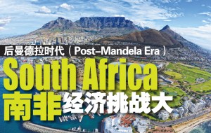 后曼德拉时代（Post-Mandela Era）