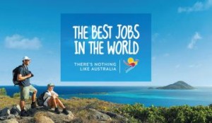 善用“抛砖引玉”行销策略