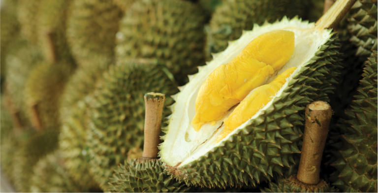 4-malaysia