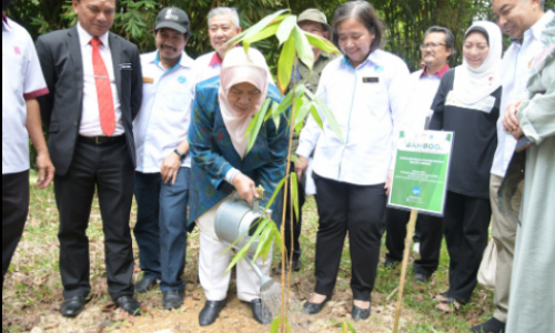 配合2022年马来西亚世界竹日（WBD）<br>政府希望开发竹子产业的发展潜能